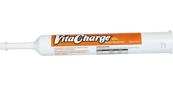 Vitacharge