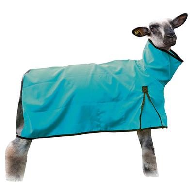 Sheep Blanket Weaver